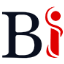 Biskoon Marketing Logo Icon